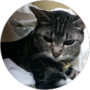 teru ura (urateru) teru ura (urateru)